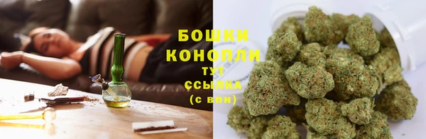 PSILOCYBIN Лиски