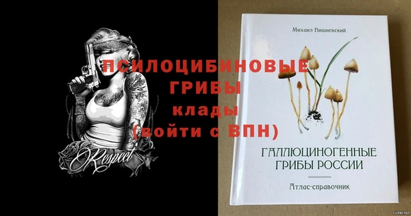 PSILOCYBIN Лиски