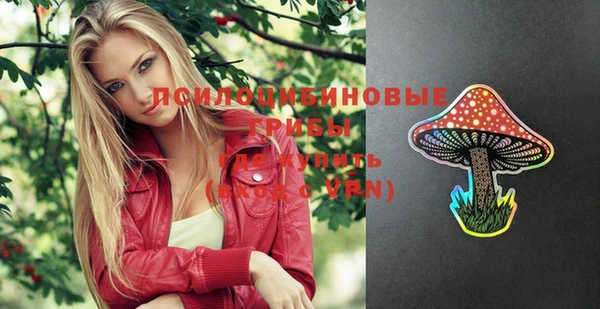 PSILOCYBIN Лиски