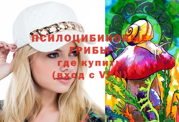 прущий лед Куртамыш
