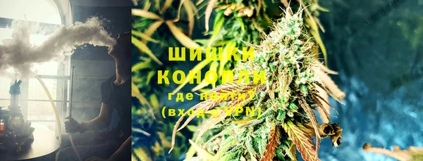 PSILOCYBIN Лиски