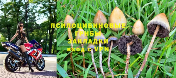 2c-b Куровское