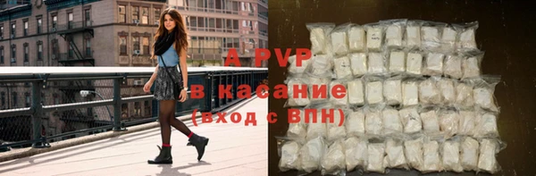 PSILOCYBIN Лиски