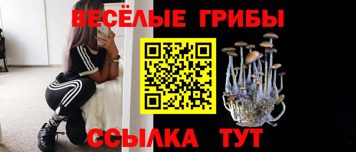 Галлюциногенные грибы Magic Shrooms  Вход с VPN  Можайск  Галлюциногенные грибы Magic Shrooms 